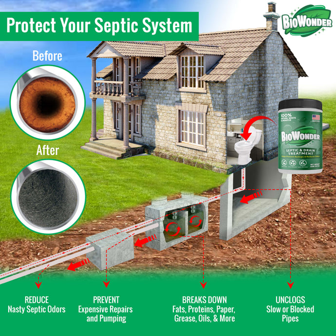 Benefits of Septic Tank Enzymes