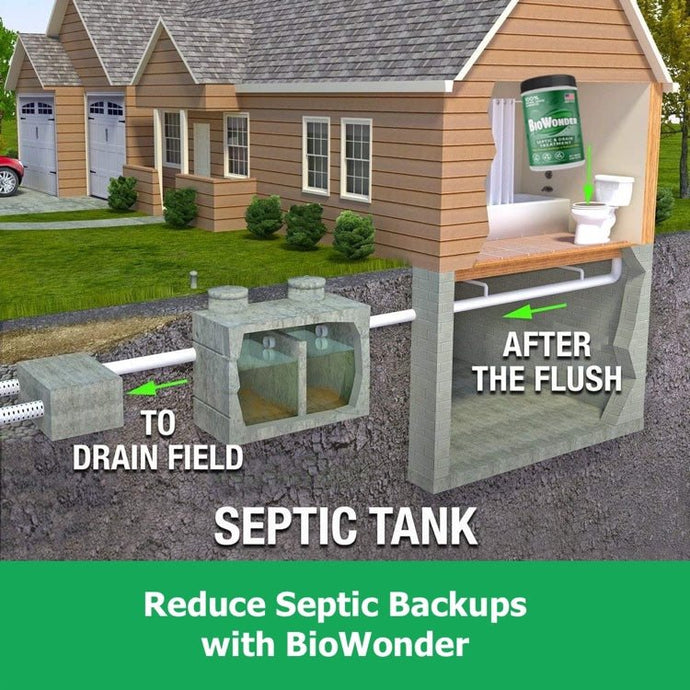 From Stinky to Sweet-Smelling: How to Get Rid of Septic Tank Odors